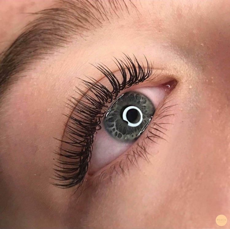 Best Classic Eyelash Extensions Auckland Lashury
