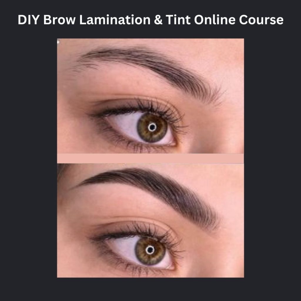 DIY Brow Lamination & Tint Online Training Course - Lashury