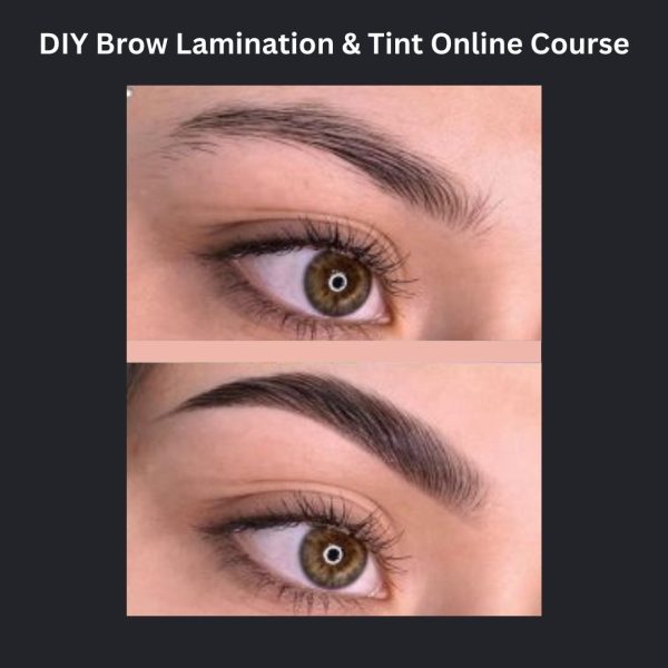 Brow Lamination & Tint Online Course